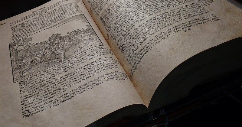 Schilddrüsenwerte richtig interpretieren beim Hausarzt: Der Guide