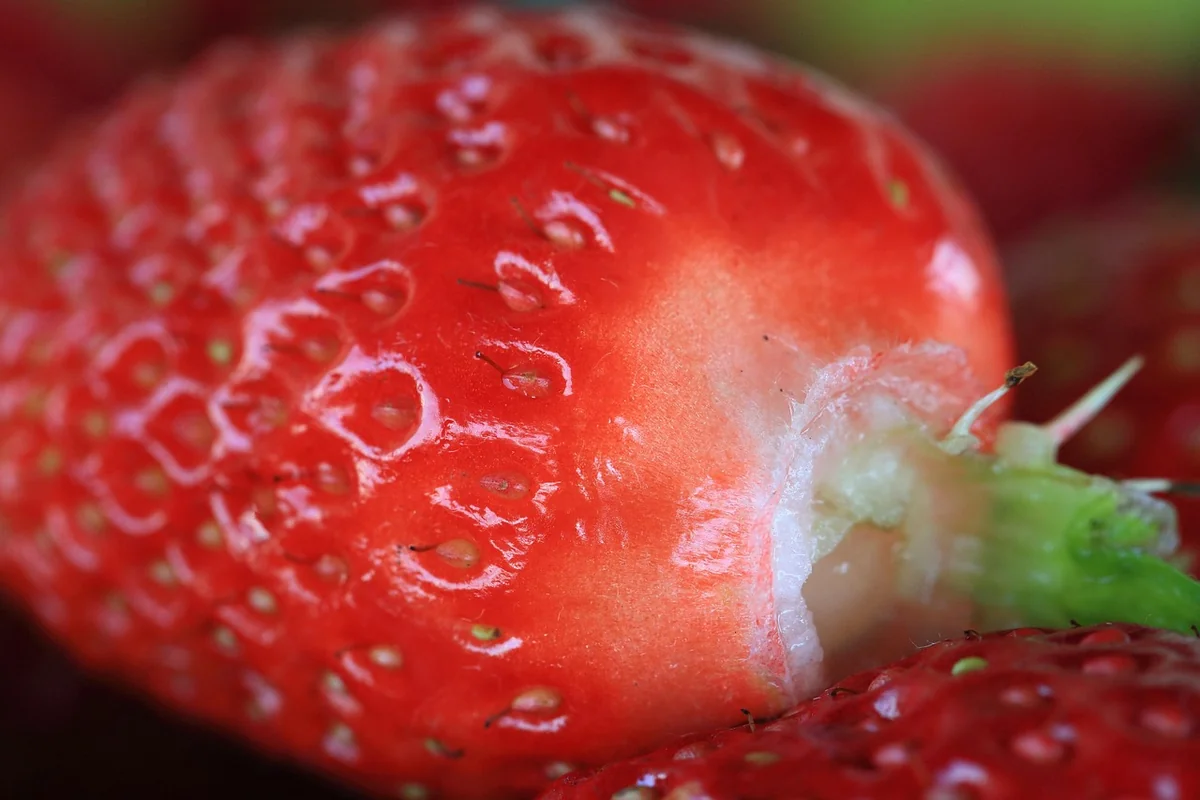 Lebensmittel als Medizin: Was wirklich beruhigt