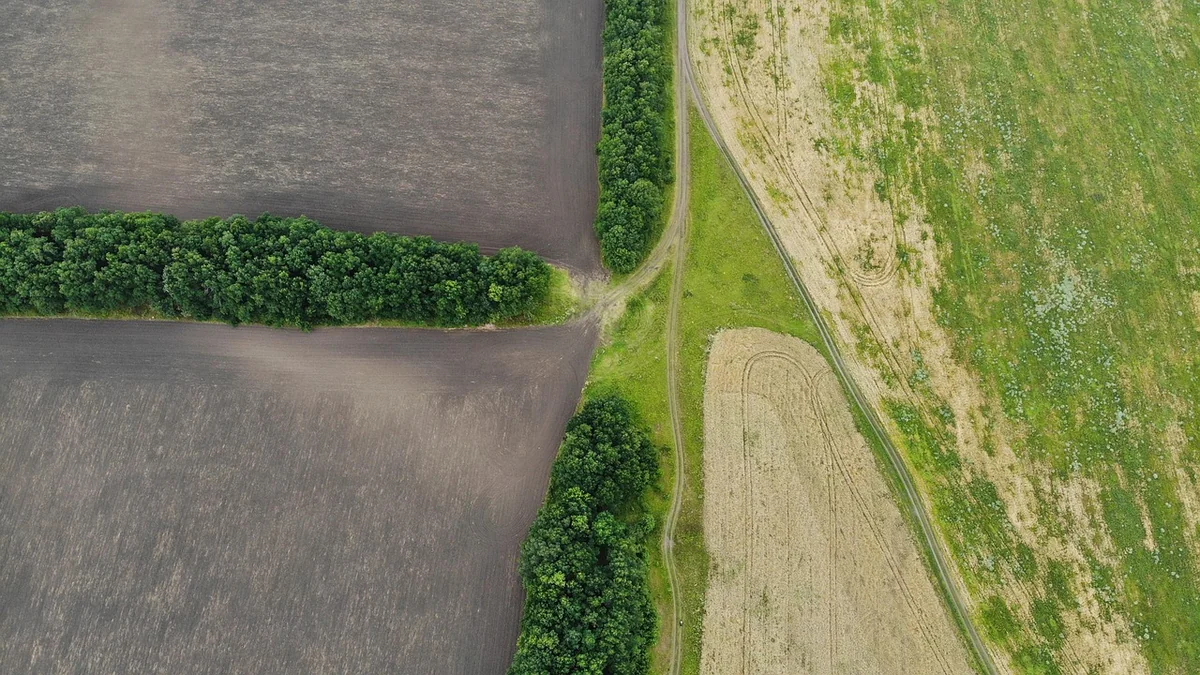 Psychologische Fallen: Perfektionismus und innerer Antreiber