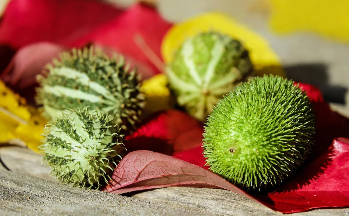 Umweltbewusster konsum: Weniger kaufen, besser kaufen