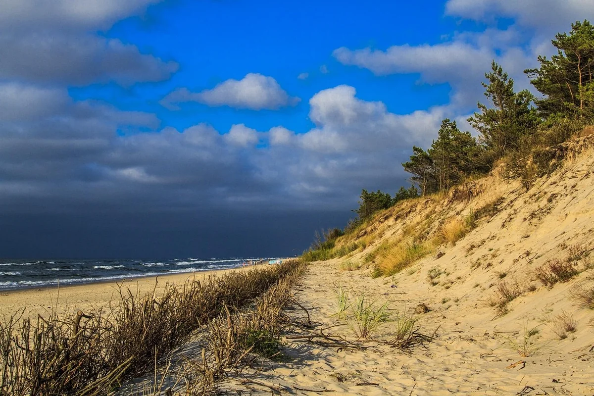 Leber, Nieren, Stofffusion: Die Organwerte